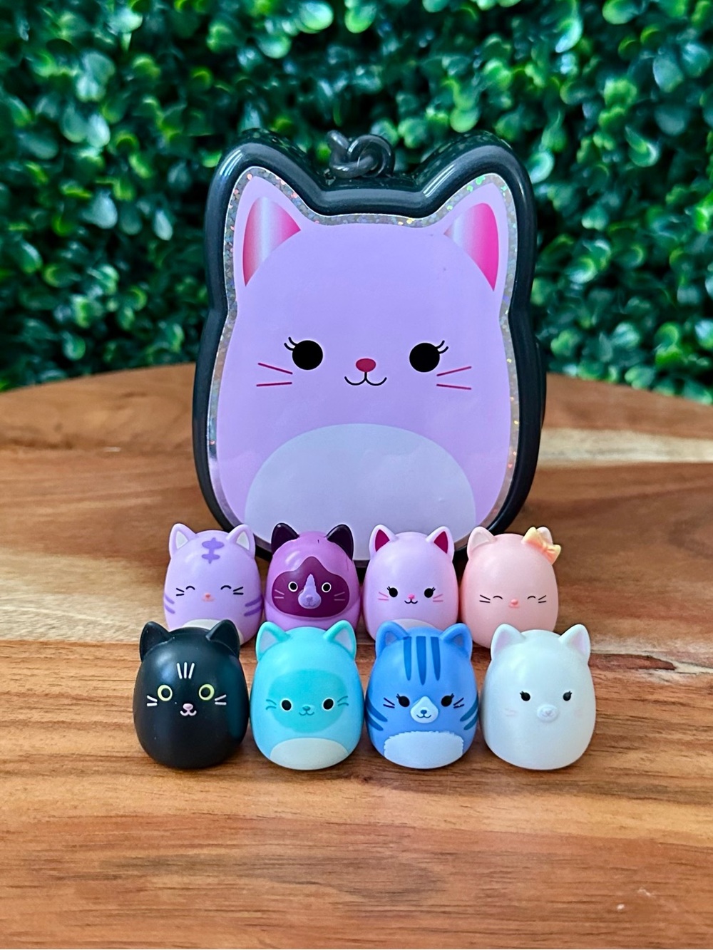 Squish-a-longs by Squishmallows Cat Bundle